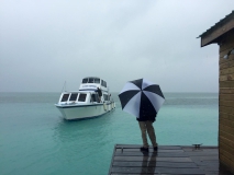 San Pedro, die Isla Bonita, begrüßt uns mit Regenwetter.
