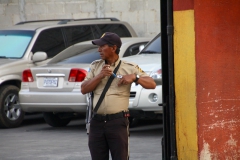 Bewaffnete Sicherheitskräfte gehören zum Stadtbild.
