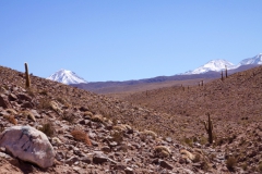 Atacama 2_ - 18