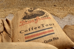 Die ehemalige Kaffeeplantage von Don Juan wird heute fast nur noch touristisch genutzt.