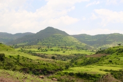 Hättet ihr gedacht, dass Äthiopien so grün sein kann?!