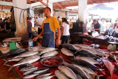 Die große Fischabteilung des Marktes