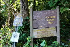 Aus morgendlichem Enthusiasmus beschließen wir, auf dem Waikamoi Nature Trail zu wandern.