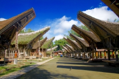 Ein typisches traditionelles Dorf der Toraya, Links die Häuser, rechts die Reisspeicher.