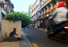 Valencia-Streetart-Julia-Lool-Katze-Moped