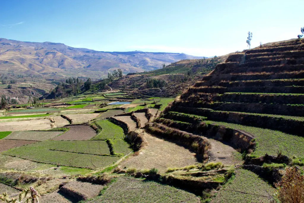 Terrassenfärmige Felder auf dem Weg von Arequipa zum Colca Canyon