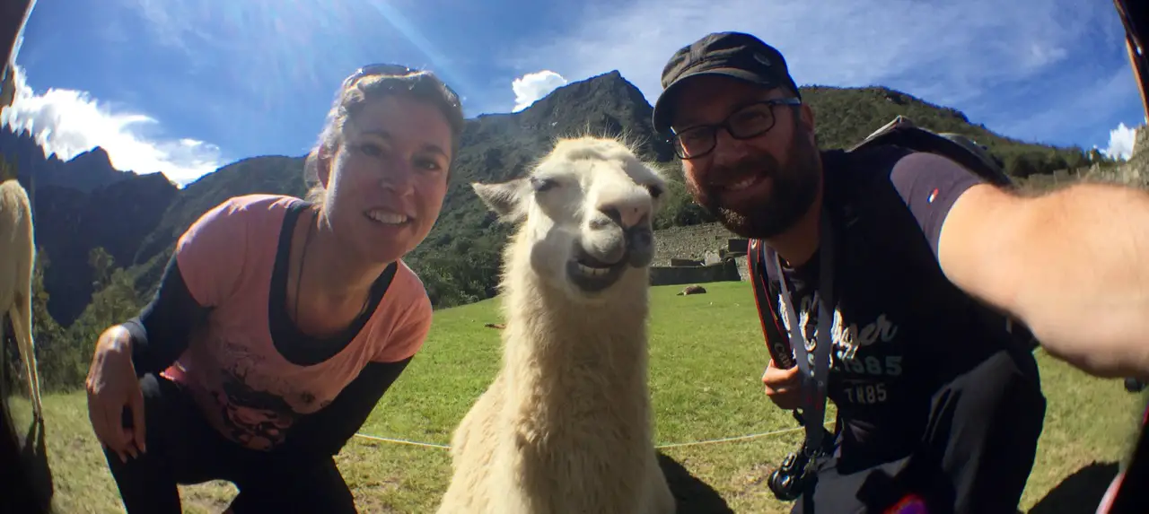 Selfie mit Lama, Machu Picchu, Peru
