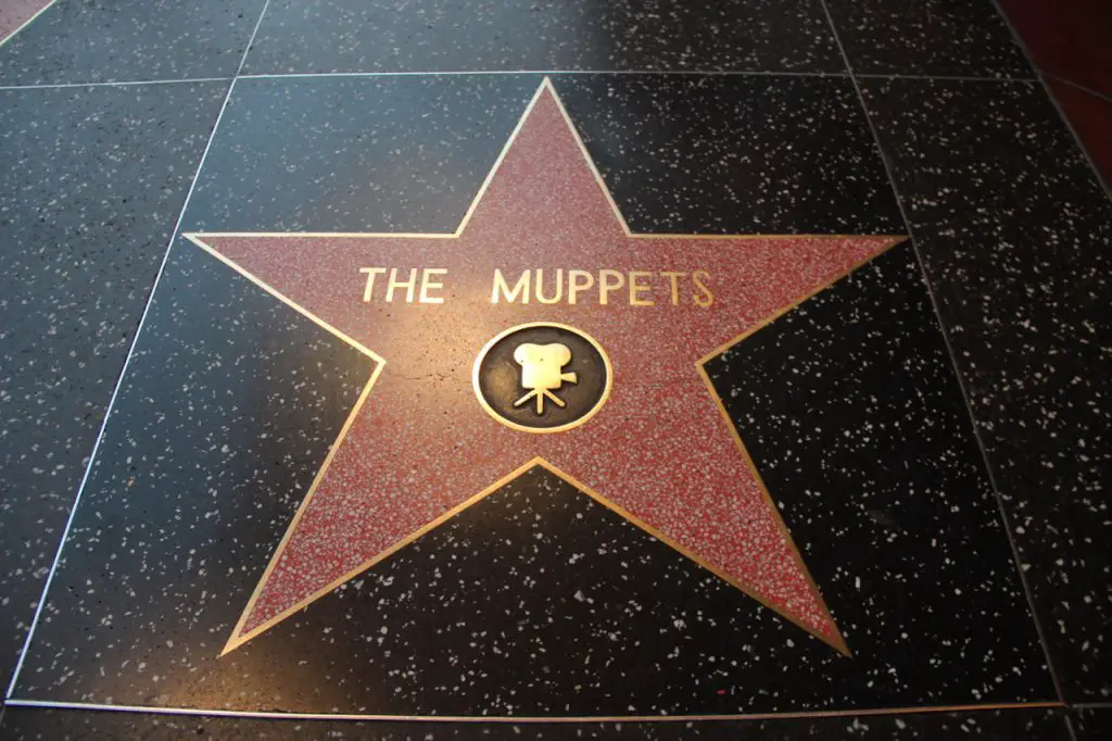 Walk of Fame: Stern für die Muppets