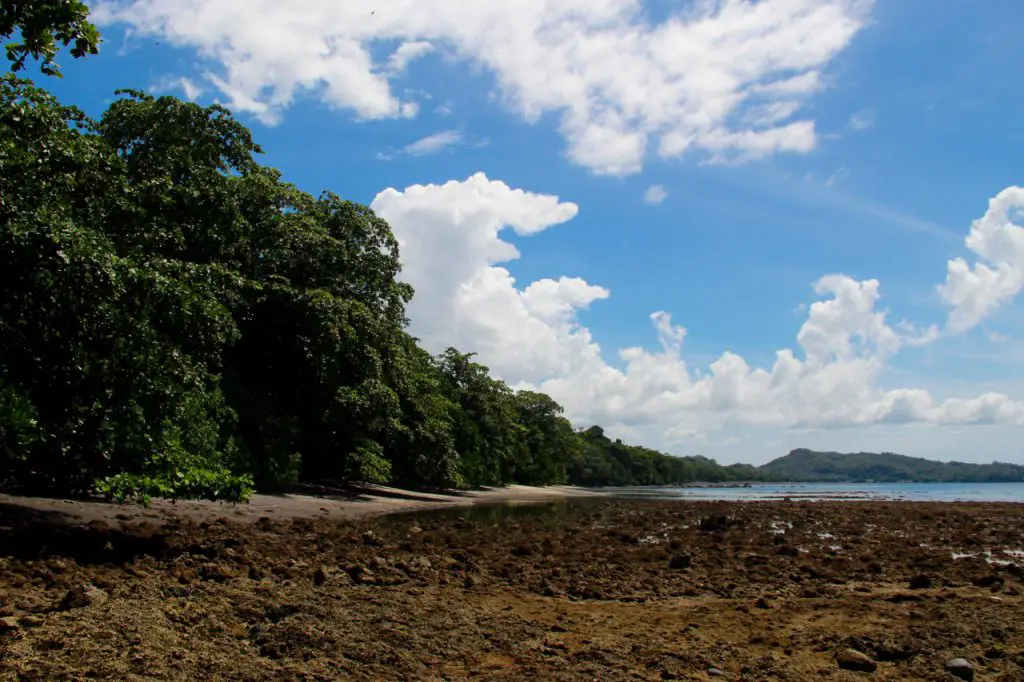 Das Tangkoko Dschungelschutzgebiet liegt direkt an der Celebesee.