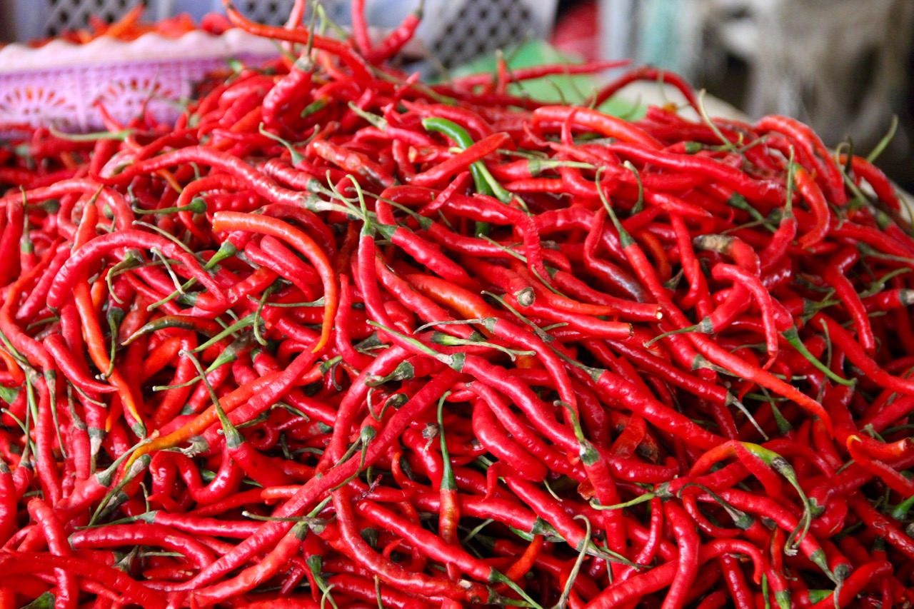 Chilis auf dem Markt der Minihasa in Nord-Sulawesi (Indonesien)