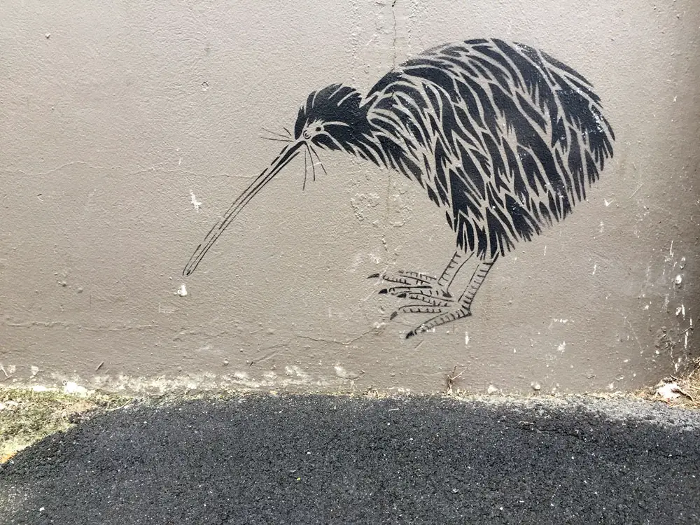 weltreize-Kiwi-Vogel-Streetart-Neuseeland