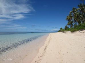 Strand von Pulau Tomia