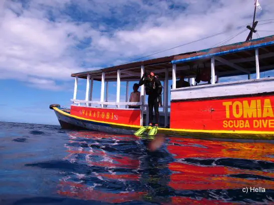 Taucher gehen ins Wasser vor Pulau Tomia