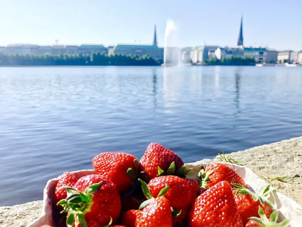 Eine Schale Erdbeeren, im Hintergrund die Binnenalster mit der Alsterfontäne, Hamburg
