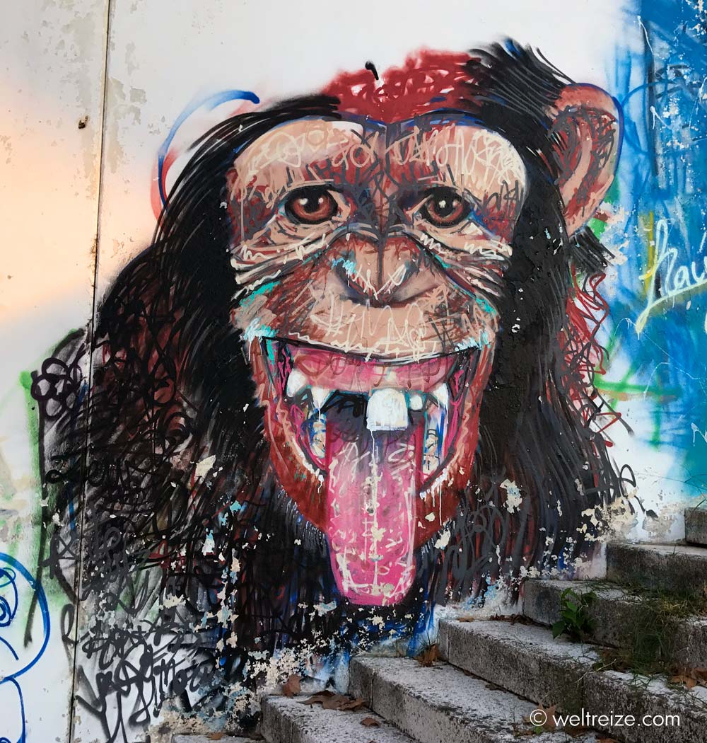 Streetart-Schimpanse am Rande des Guadalquivir in Sevilla