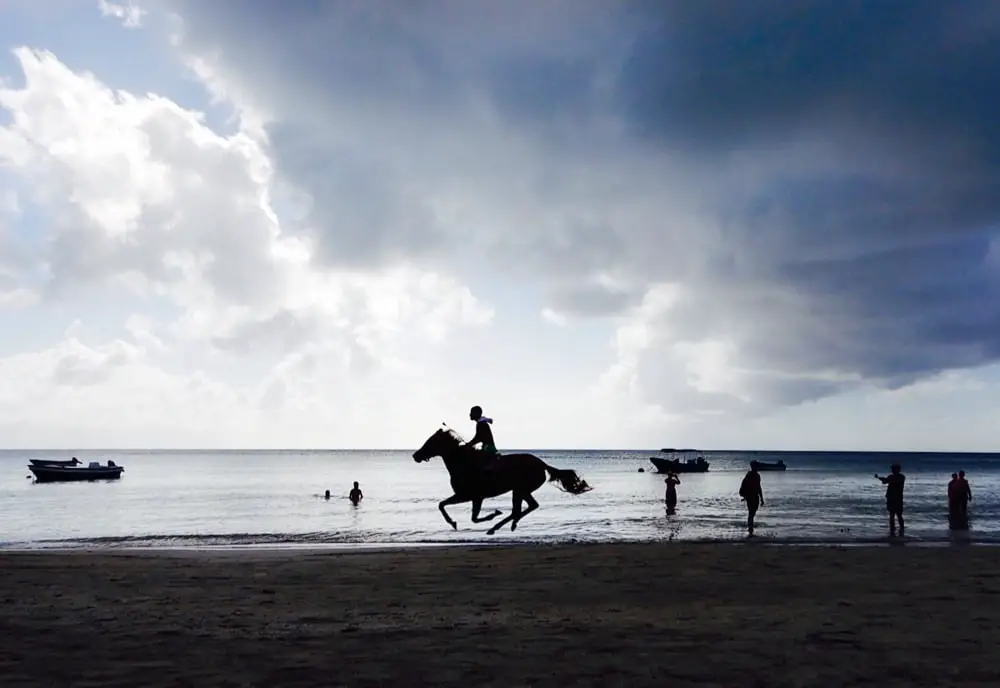 Pferderennen South West Bay Providencia Kolumbien