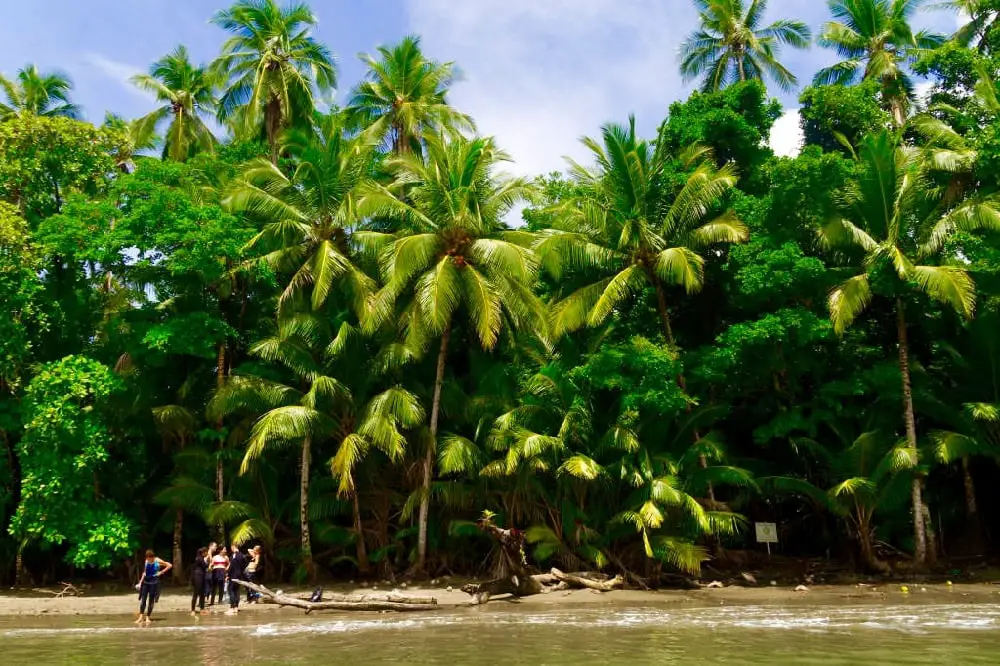 Strand und Palmen Coiba Nationalpark Panama