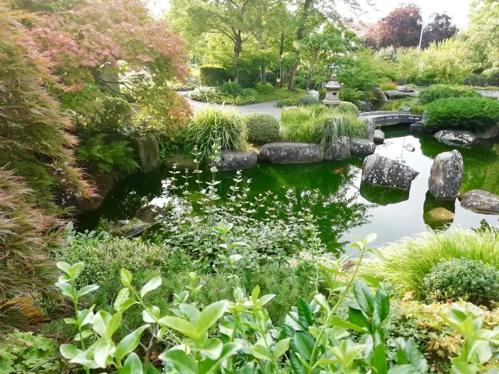 Japanische Gärten Würzburg