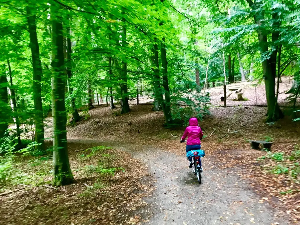 Mit dem Fahrrad geht es über Waldwege in den Naturpark Lauenburgische Seen