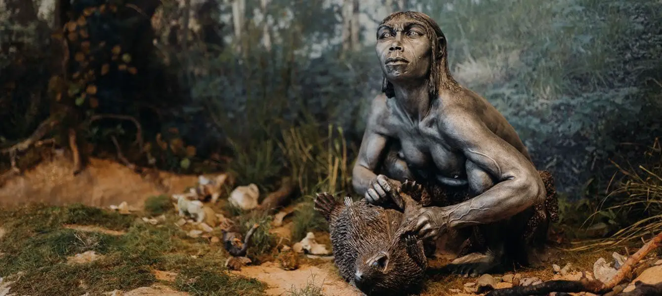 Neandertaler Geschichts-Museum Weimar