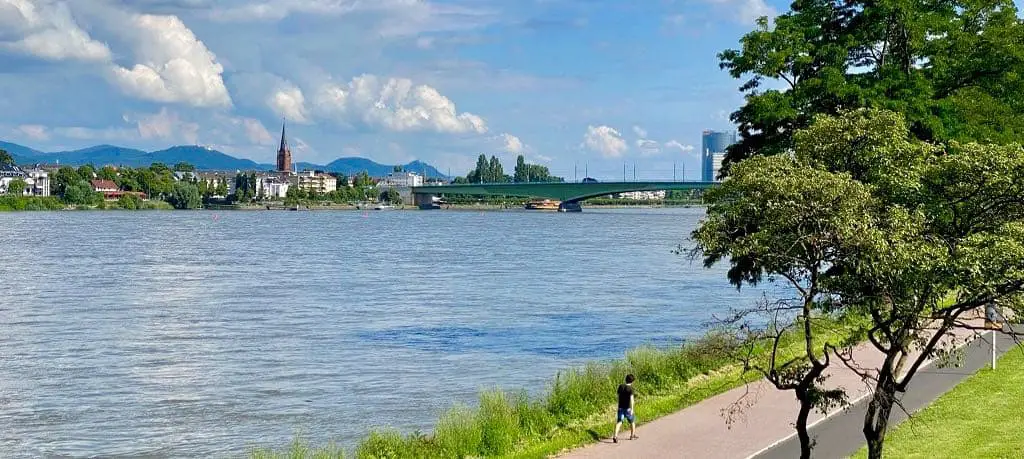 Rhein in Bonn