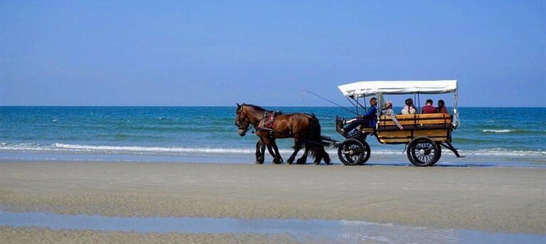 Kutschfahrt am Strand von Juist