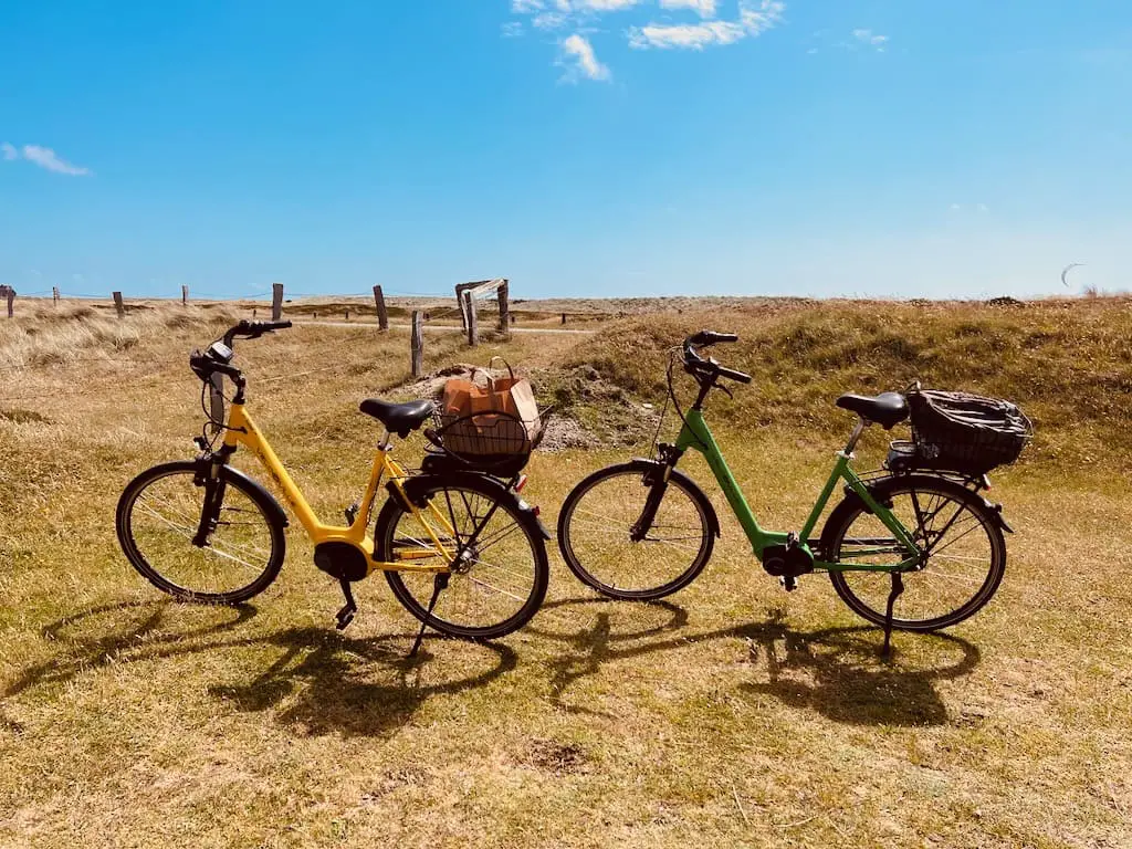 Zwei E-Bikes in einer Heide-Dünen-Landschaft