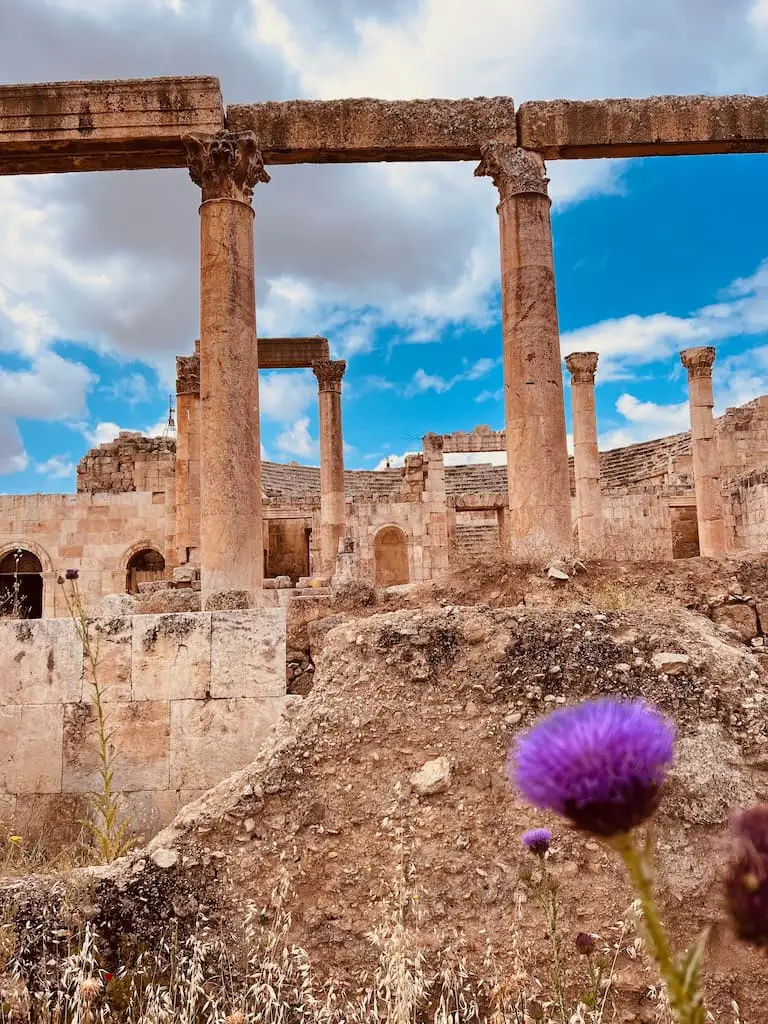 Diestel in der Ruinenstadt Jerash