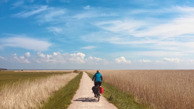 Radfahrerin auf dem Ostseeküsten-Radweg in Mecklenburg-Vorpommern